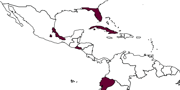 map of Telenomus sulculus     Johnson, 1984